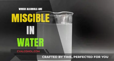 Water-Soluble Alcohols: Understanding Miscibility and Chemical Compatibility