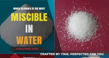 Exploring Water-Soluble Alcohols: Which Mix Best with Water?