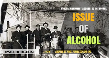 Prohibition's Legacy: The Amendment That Banned Alcohol in America