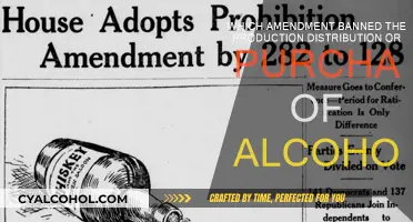 Prohibition: The Amendment That Banned Alcohol