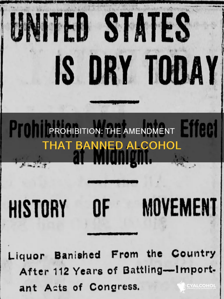 which amendment banned the production distribution or purchase of alcohol