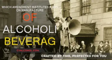 Prohibition: A Constitutional Ban on Alcohol