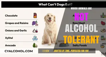 Animals That Cannot Tolerate Alcohol: Surprising Species to Avoid It