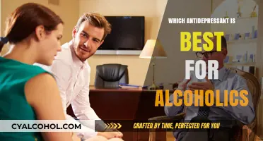 Best Antidepressants for Alcoholics: Effective Options for Dual Recovery
