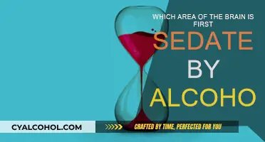 Alcohol's First Target: The Brain's Control Center