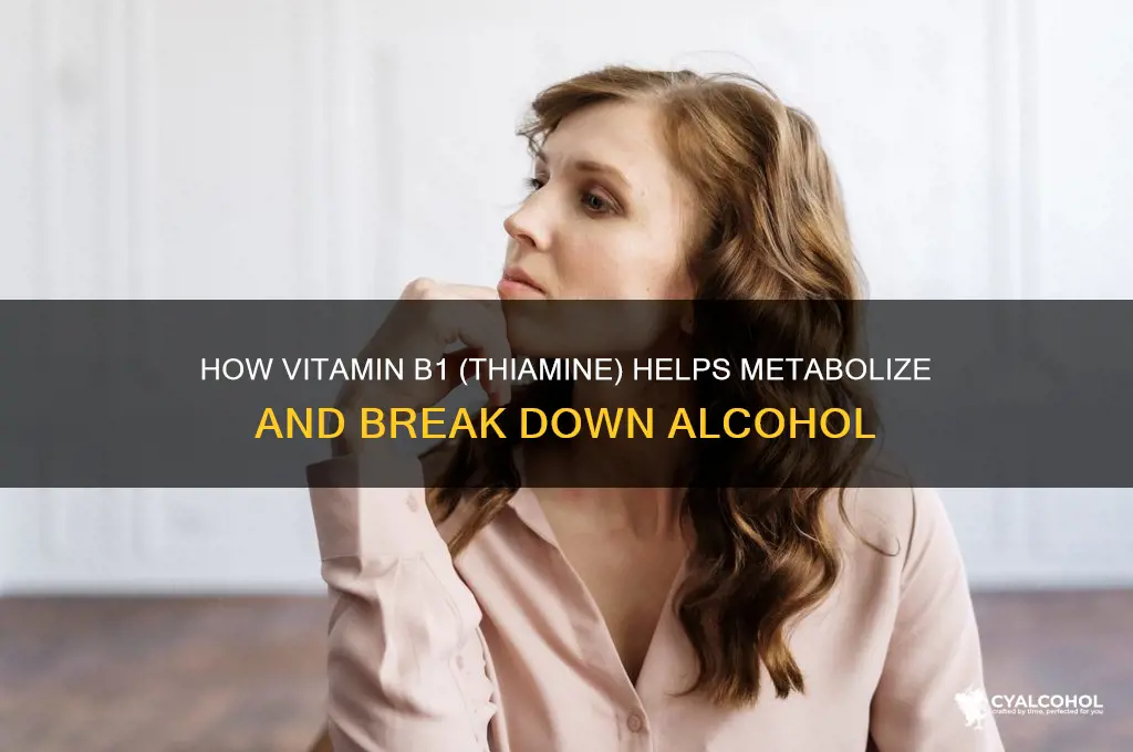 which b vitamin breaks down alcohol