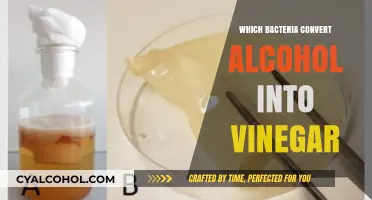 How Acetic Acid Bacteria Transform Alcohol into Vinegar: A Guide