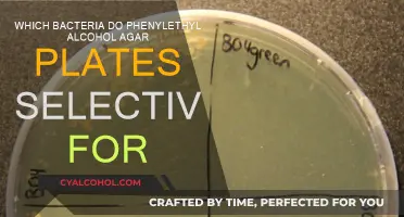 Phenylethyl Alcohol Agar: Selective Bacteria Growth