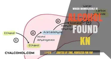 Alcohol's Biomolecular Presence: Unveiling Its Role in Carbohydrate Metabolism
