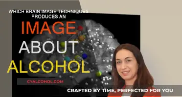 Brain Scans: Unveiling Alcohol's Impact