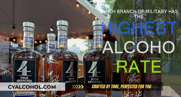 Alcoholism in the Military: Which Branch Has the Highest Rate?