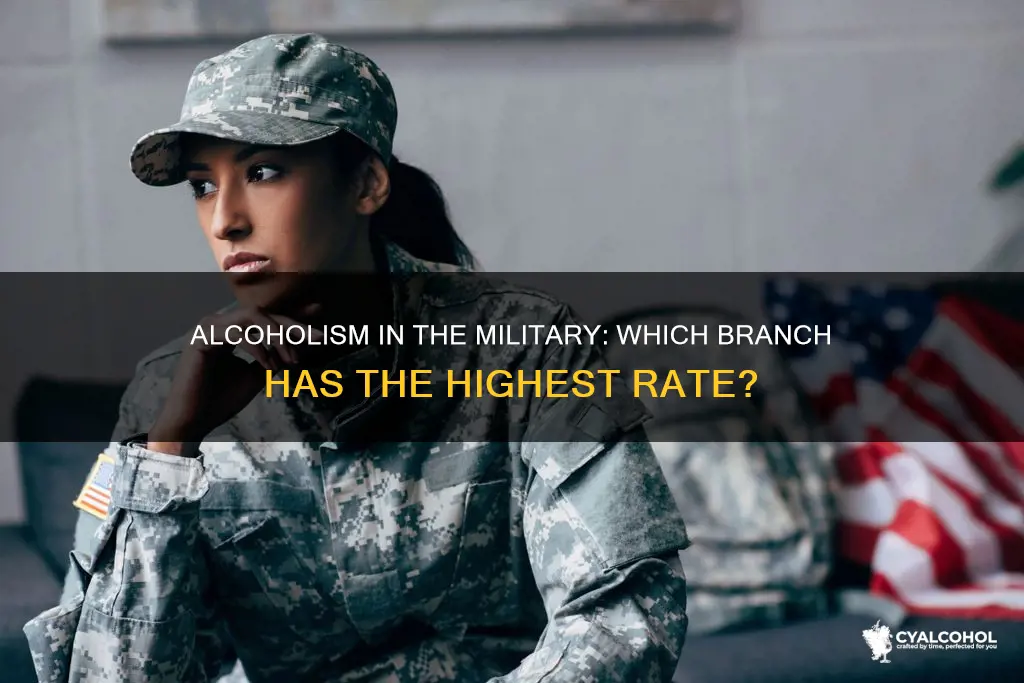 which branch of military has the highest alcoholic rate