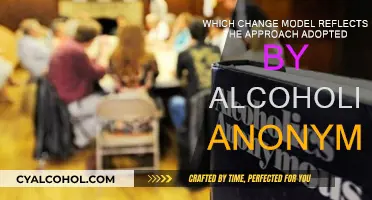 Change Model Reflection: Alcoholics Anonymous' Approach