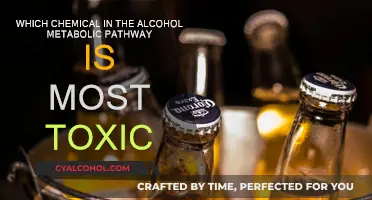 The Most Toxic Chemical in Alcohol Metabolism