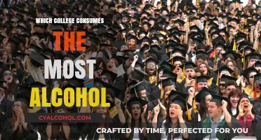 Top Party Schools: Which College Consumes the Most Alcohol?