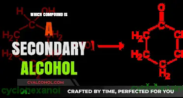 Identifying Secondary Alcohols: Key Characteristics and Examples Explained
