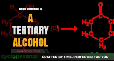 Identifying Tertiary Alcohols: Key Characteristics and Examples Explained