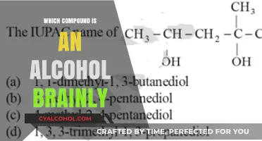 Understanding Alcohols: Identifying the Correct Compound on Brainly