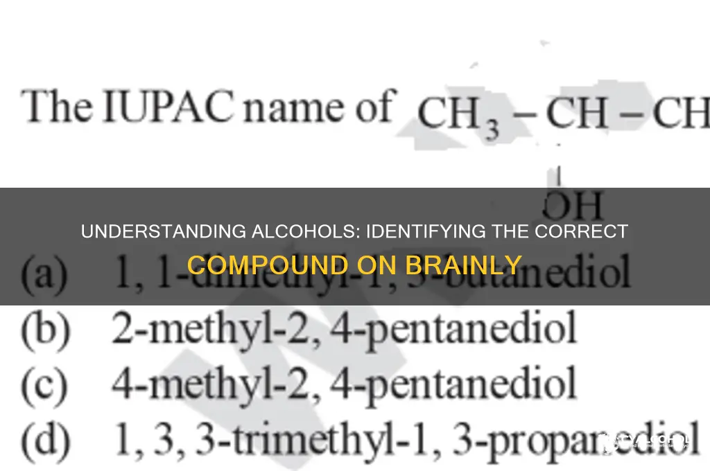 which compound is an alcohol brainly