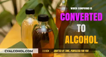 Understanding the Chemical Process: Which Compound Transforms into Alcohol?