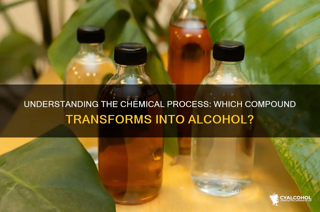 which compound is converted to alcohol