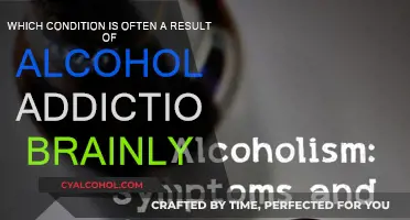 Alcohol Addiction: Brain Disorders and Their Treatment