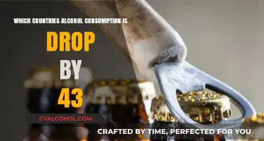 Global Shift: 43% Drop in Alcohol Consumption Across Nations