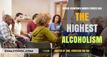 Global Military Alcoholism: Which Nations' Armed Forces Struggle Most?