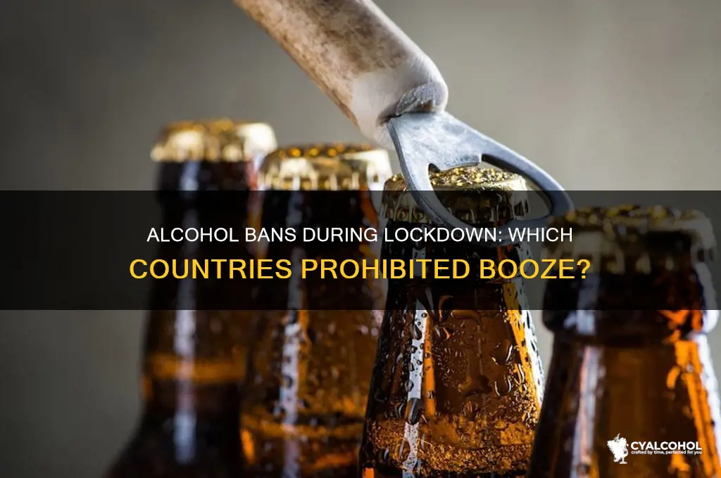 which countries ban alcohol during lockdown