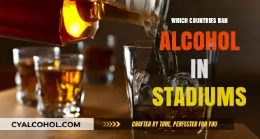 Alcohol-Free Stands: Countries Banning Alcohol in Sports Stadiums