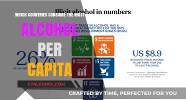 Global Alcohol Consumption: Top Nations Leading Per Capita Drinking Trends