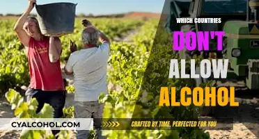 Alcohol-Free Nations: Exploring Countries Where Alcohol is Prohibited