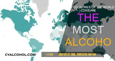 Alcohol Consumption: Global Leaders