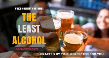 Sober Nations: Exploring the Country with the Lowest Alcohol Consumption