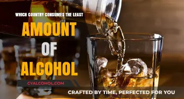 Sober Nations: Exploring the Country with the Lowest Alcohol Consumption