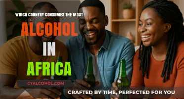 Africa's Top Alcohol Consumer: Unveiling the Continent's Highest Drinker