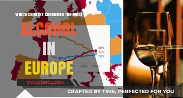 Europe's Top Alcohol Consumer: Which Country Leads the Pack?