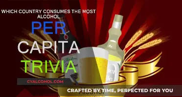 Who Drinks the Most? Global Alcohol Consumption