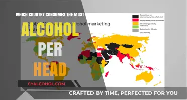 Global Alcohol Consumption: Which Nation Tops the Per Capita List?