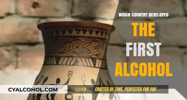 Unveiling the Origins: Which Country First Brewed Alcohol?