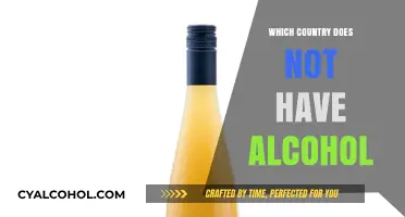 Exploring the Unique Nation Where Alcohol is Completely Prohibited