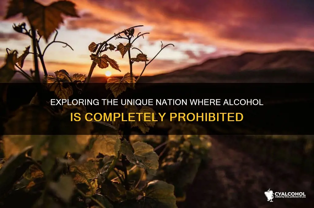 which country does not have alcohol