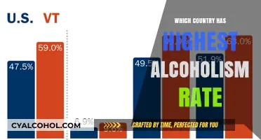 Global Alcoholism Crisis: Which Nation Tops the Highest Rate?