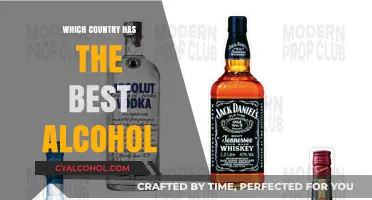 Exploring the World's Finest Alcohol: Which Country Tops the List?