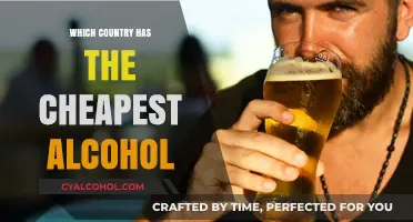 Cheap Booze Destinations: Where Alcohol Costs Less Globally