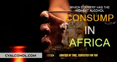 Alcohol Consumption in Africa: Which Country Leads?