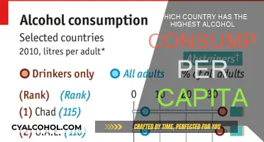 Alcohol Consumption: Which Country Leads the World?