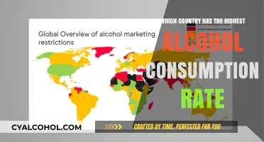 Global Alcohol Consumption: Which Nation Tops the Drinking Chart?