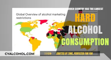 Global Spirits Showdown: Which Nation Tops Hard Alcohol Consumption?