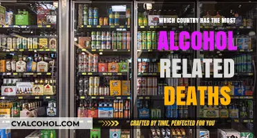 Global Alcohol Crisis: Which Nation Faces the Highest Death Toll?